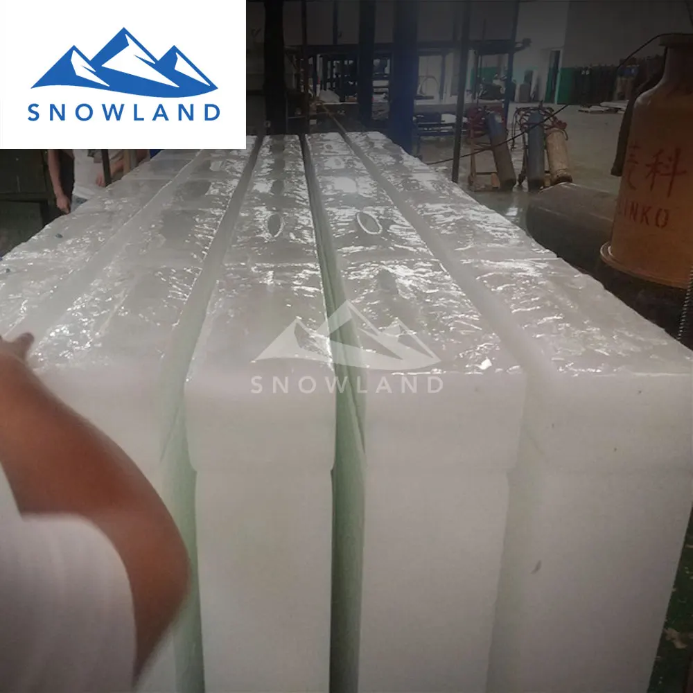 germany ice maker with 4 ton capacity block ice