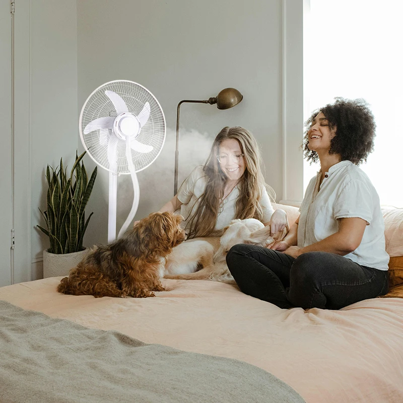 CHANGRONG 16 Inch Rechargeable AC/DC Stand Fan with AC water mist function and USB Output DC Input solar charging