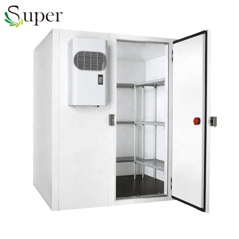 
100 ton potatao cold room storage for hot weather with wall insulation coating liquid 