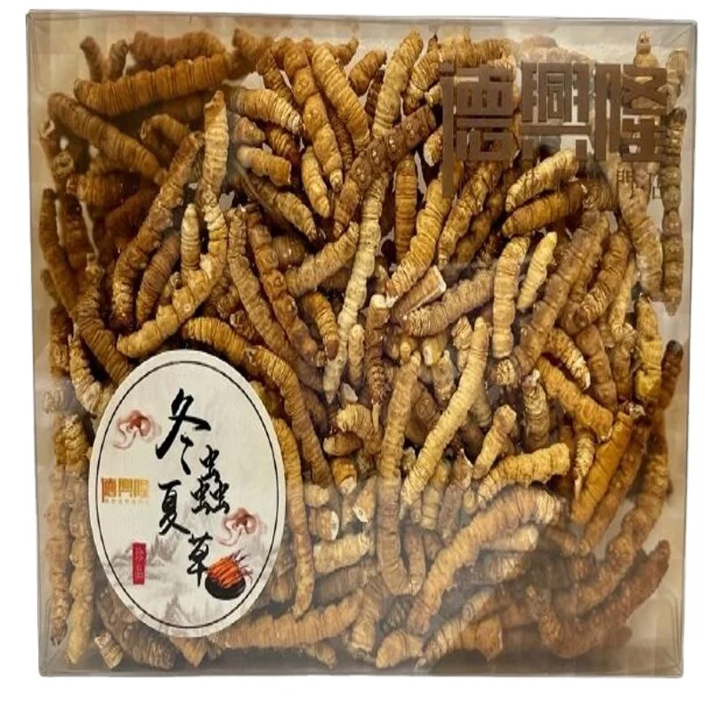 High Nutritional Value Deep Cleaning Tibet Mushroom Extracts Cordyceps Adenosine