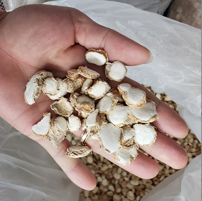 Hot sale dry Kaempferol ginger  Rhizoma Kaempferiae slice  wholesale price resurrection lily rhizome