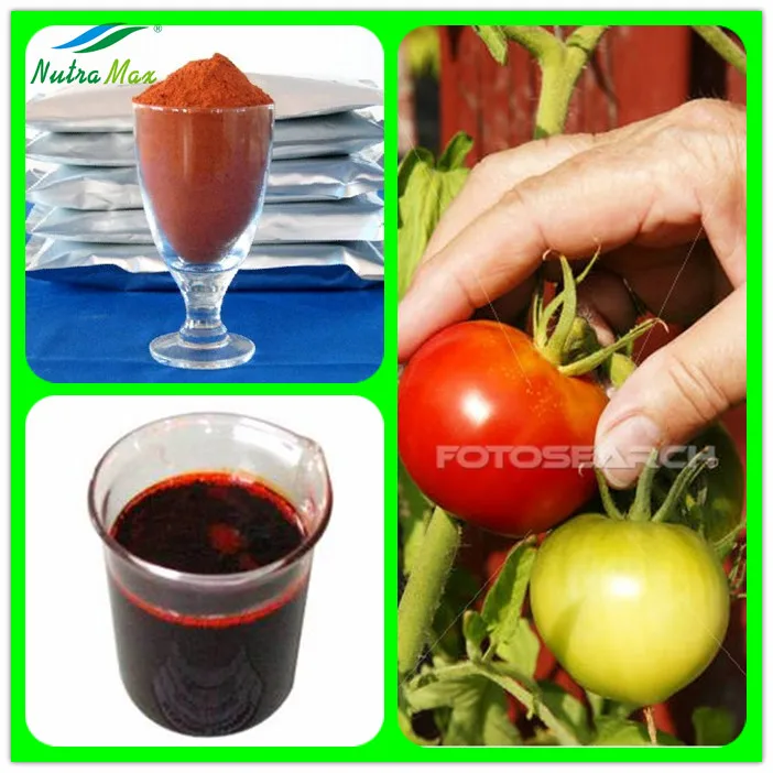 China Manufacturer 5%10%20% Tomato Lycopene Powder Extract & Beadlet