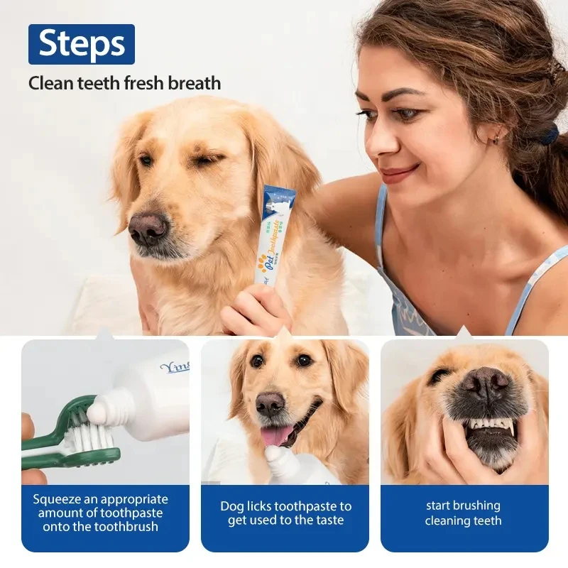 Qbellpet Factory Low Price Manufacturers Selling 70g Vanilla/Beef Flavors Pet Cat Dog Toothpaste