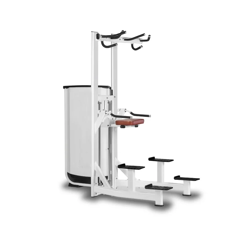 Multi Gym Exercise Workout Equipment  Assist Dip Chin Machine For Bodybuilding