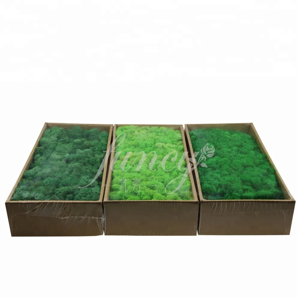
2019 Hot Factory Wholesale Luxury Office Decoration Green Real Natural Art Frame Panel Stabilize Reindeer Wall moss stabilized 