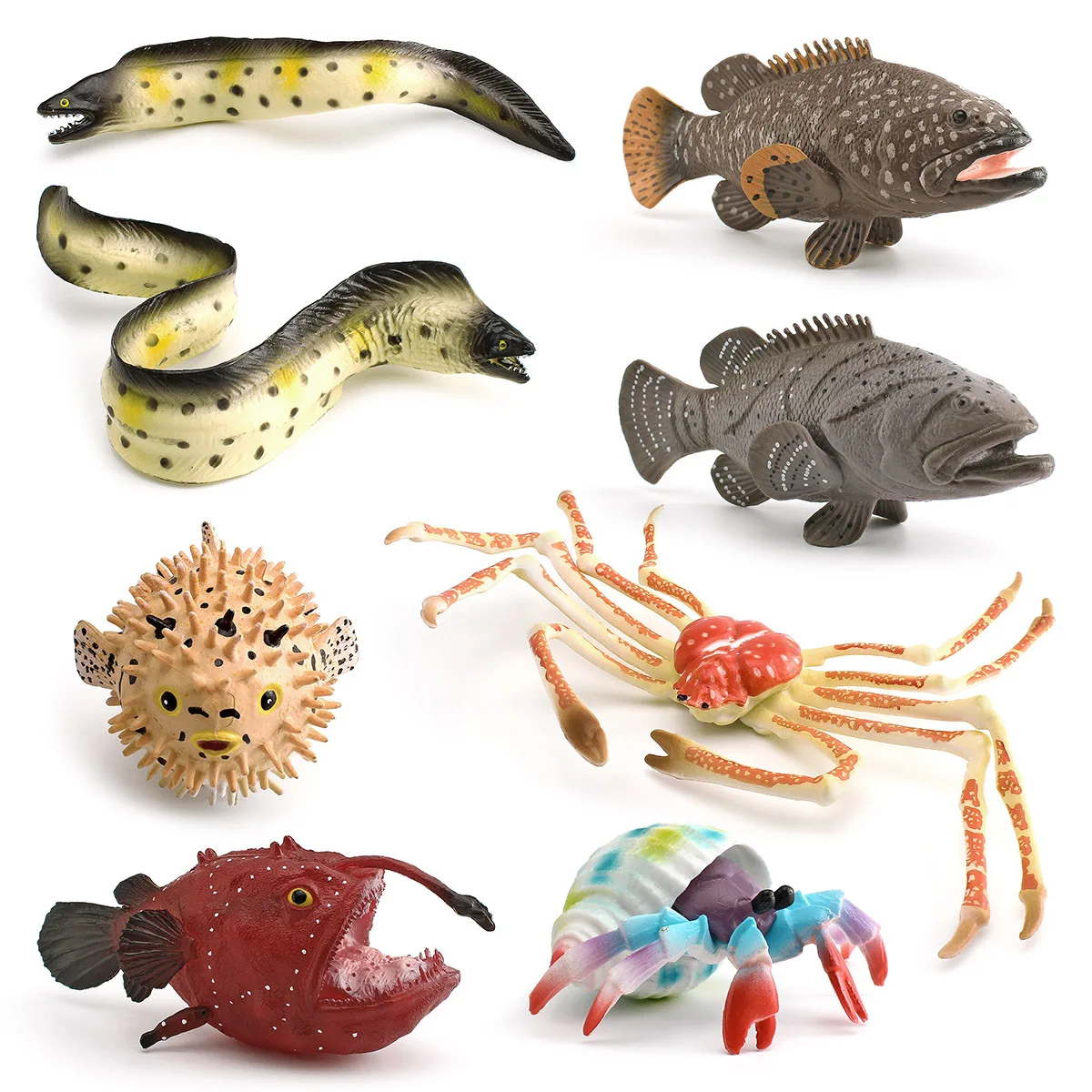 Cross-border Simulation Marine Animal Model Spider River Dolphin Fish Grouper Hermit Crab Moray Eel Ornament Toy