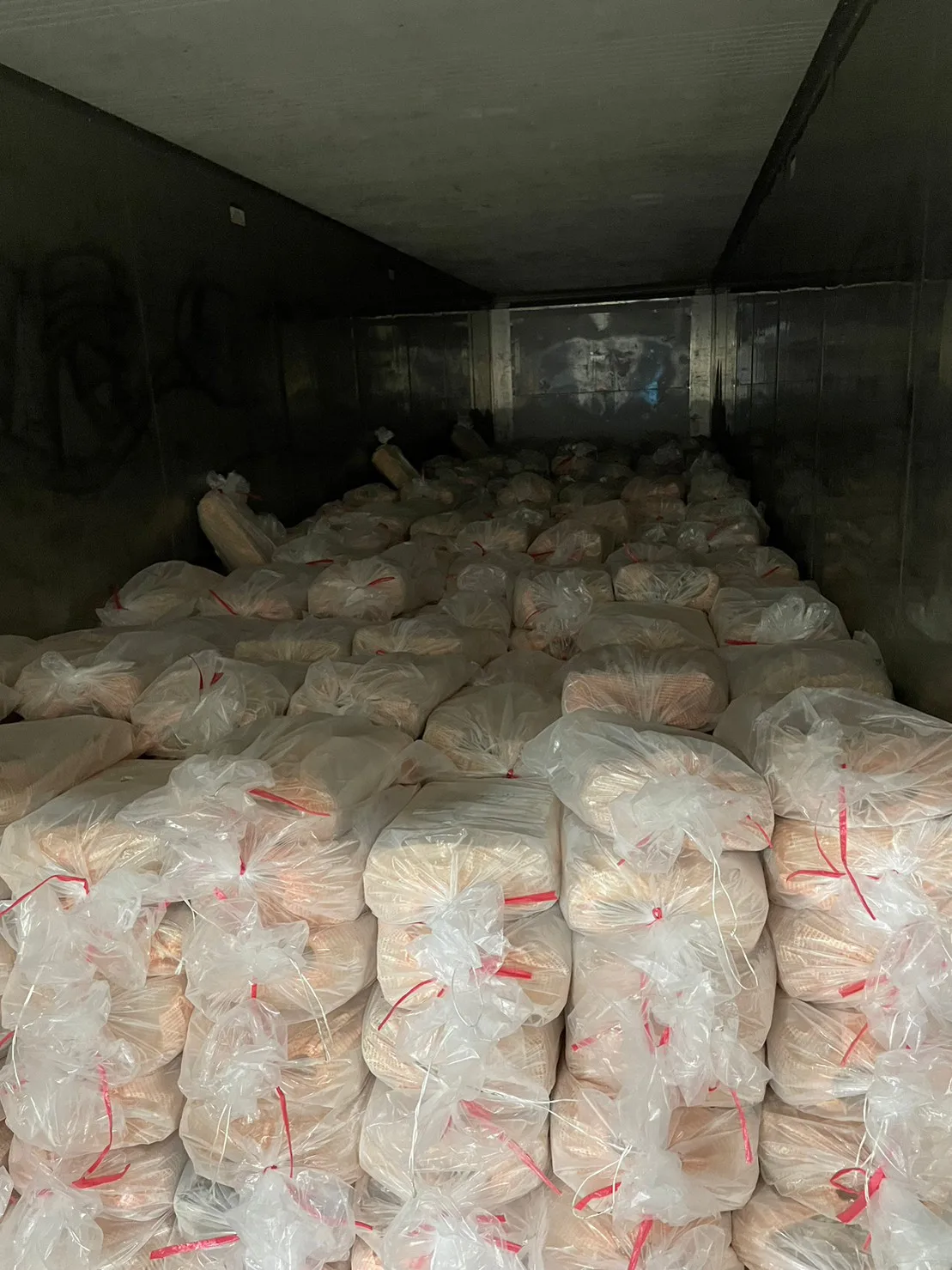Supplying Whole Round Taiwan Origin Squid 400-600g Machine Wash Customizable Frozen Seafood Bulk Packaging Natural Color 10kg
