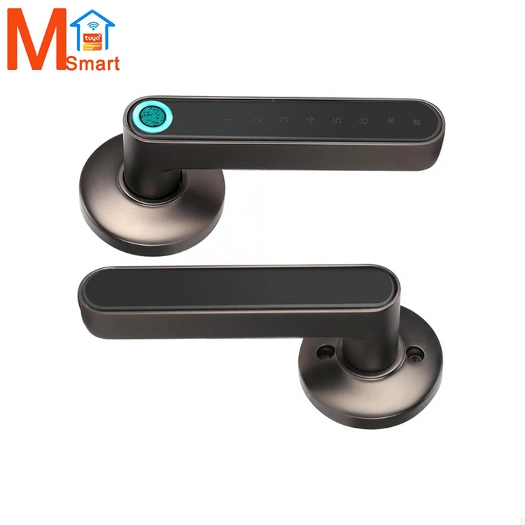 Fingerprint Smart Key Electronics Security Bedroom Home Tuya Handle Wood Door Lock