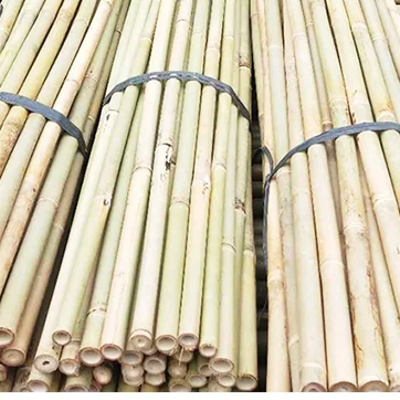High Quality Nature Bamboo Cane Stake 2FT 4FT 6FT 8FT For Plants Grow And Decorative