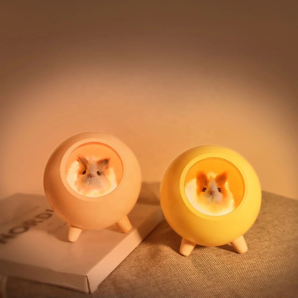 Customized Round Oval Wooden LED Night Light Night Lamp LED Wood Lighting Base