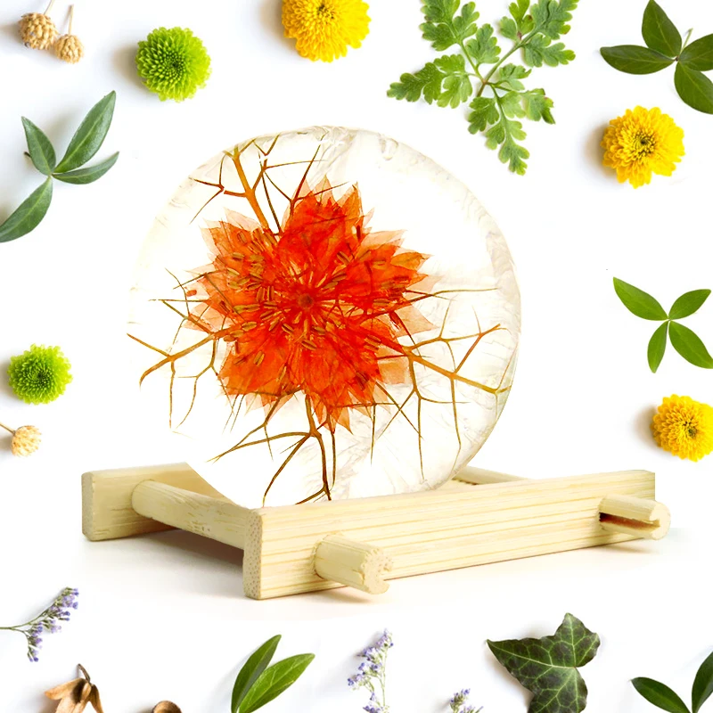 omy lady dropshipping transparent organic handmade basic cleaning essential oil bath soap