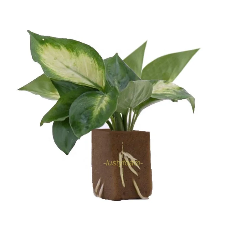 Раствор для выращивания саженцев meida, средство для выращивания корней, гитропонное средство для распространения, среднее средство для выращивания растений