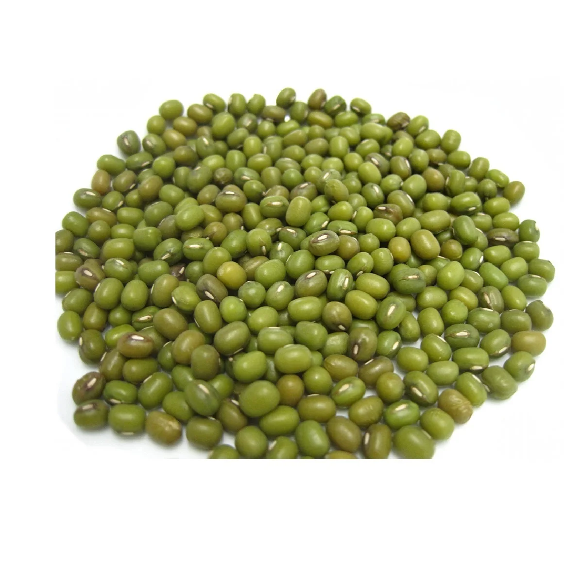High Grade Non-GMO Nutritional Product Natural Bulk Dried Mung Beans from Uzbekistan  Vigna Mung beans for Food