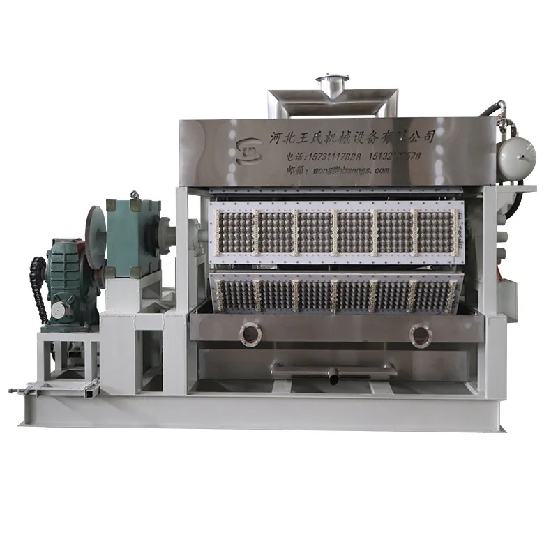 Wongs 7000 Pcs/hr Full Automatic Biodegradable Packaging Paper Eggs Carton Tray Making Machine