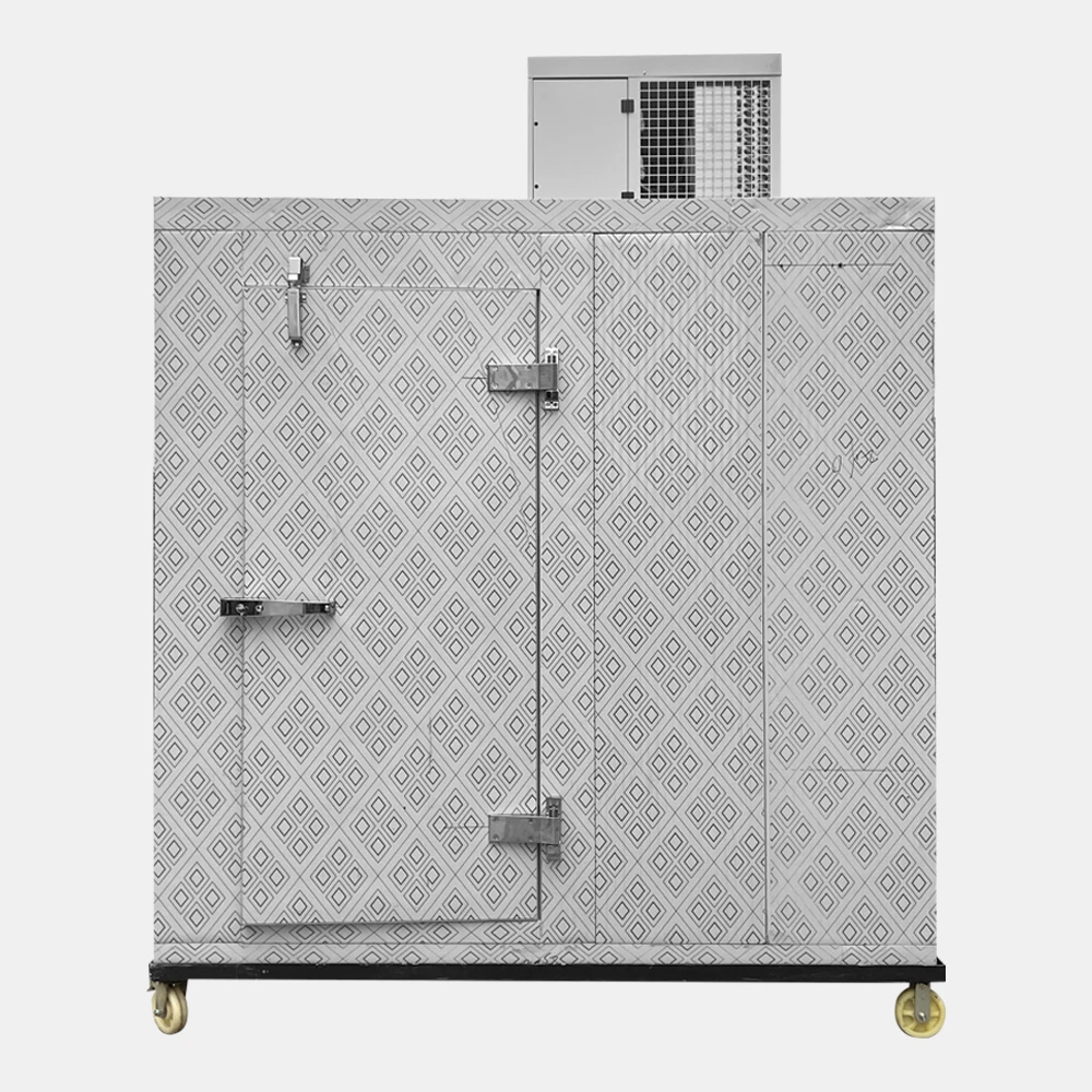 China Cold storage manufacturer Mini Cold Storage sells portable cold storage preservation food