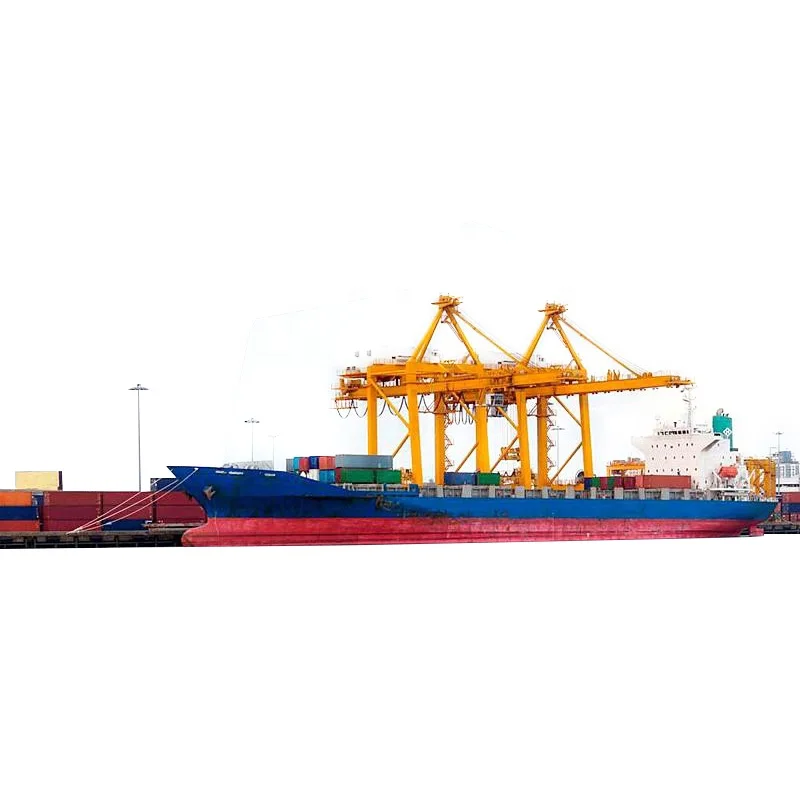 FCL LCL морские грузовые перевозки из китайского порта в Новую Зеландию для контейнеров