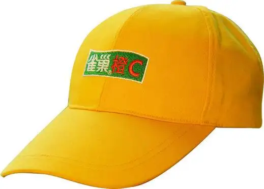 china hat factory undertake brand baseball hat processing services