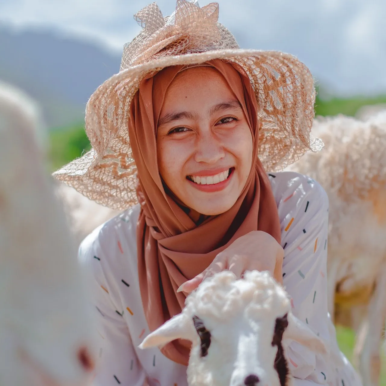 Оптовая продажа Женская шаль мусульманский однотонный шифоновый