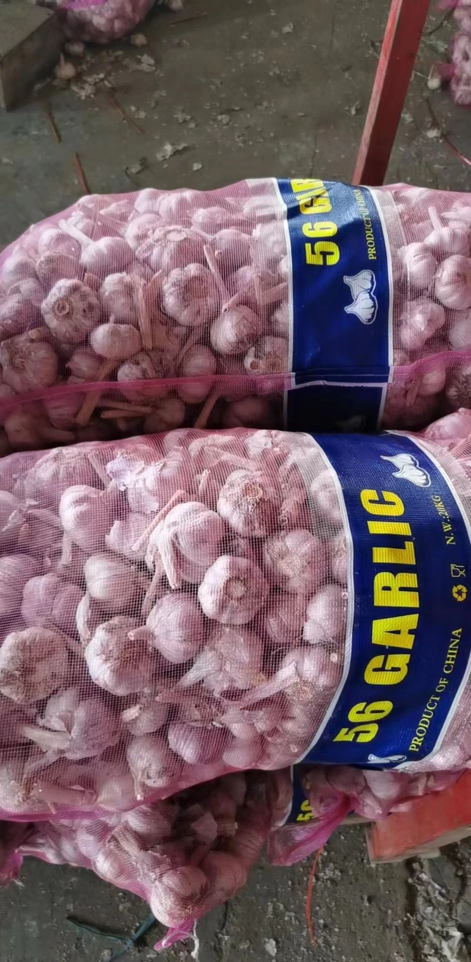 Garlic Price in China Fresh Normal White Style China Gap  Weight Origin Type Size Product Place Model HACCP SHN