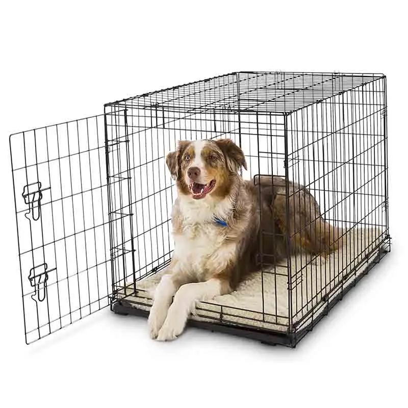 Free Samples 24 Inch Folding 2 Door Black Dog House with Plastic Tray