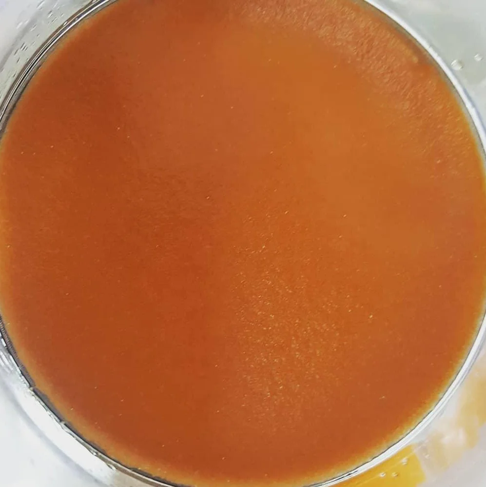 Same quality as OSI 90%  artemia cysts baby brine shrimp eggs for guppy