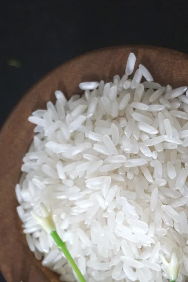 Best supplier Short-Grain White Rice 100% Organic Good Price from Viet Nam Jasmine Rice