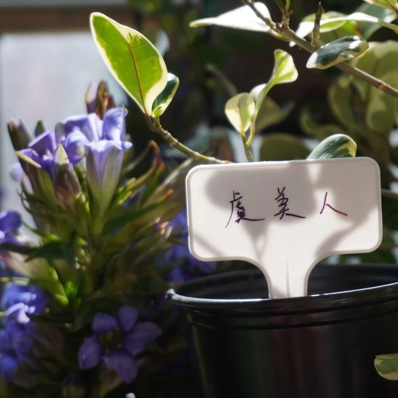 Sublimation Plastic Custom Tag Nursery Name Plant Garden Supplies Plant Sign Tag Circular For Gardening