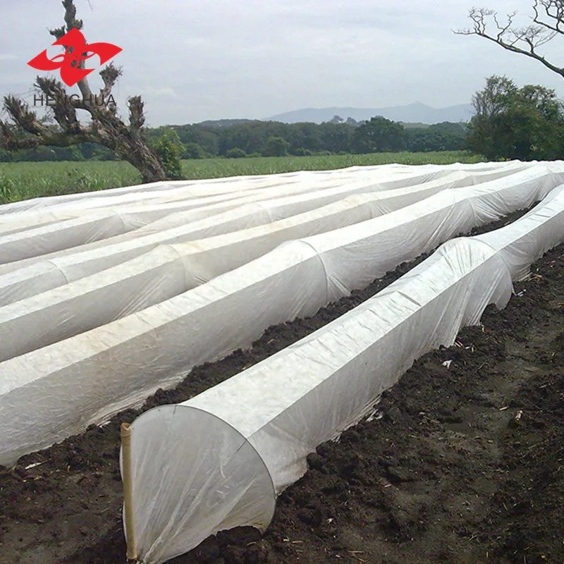 100%TNT 10gsm-200gsm Polypropylene Spunbonde pp Nonwoven Fabric Nonwoven Fabric Roll pp Nonwoven Fabric Price pp Non Woven Bag