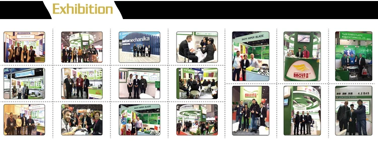 wiper blade exhibition.jpg