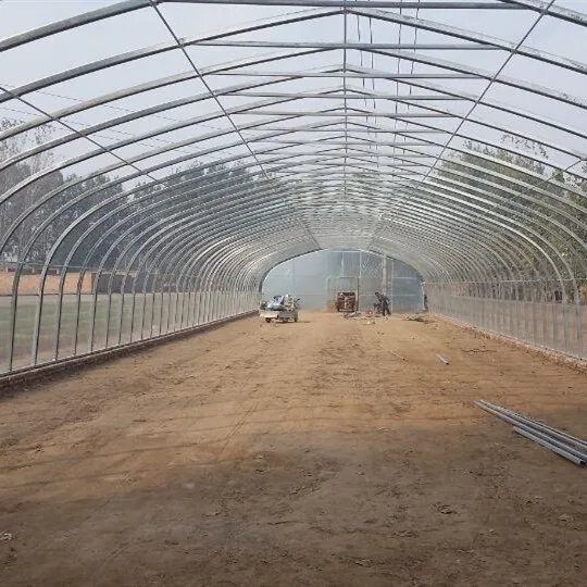 Single-Span Arch Type Tunnel Greenhouse with Fog Sprayer for Fruit or Leafy Vegetables/Seed Breeding