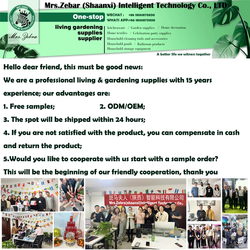 Hot Plants Fruit and Vegetable Orchard Planting Vines Tied Rope Pvc Wrapped Metal Soft Tie Gardening