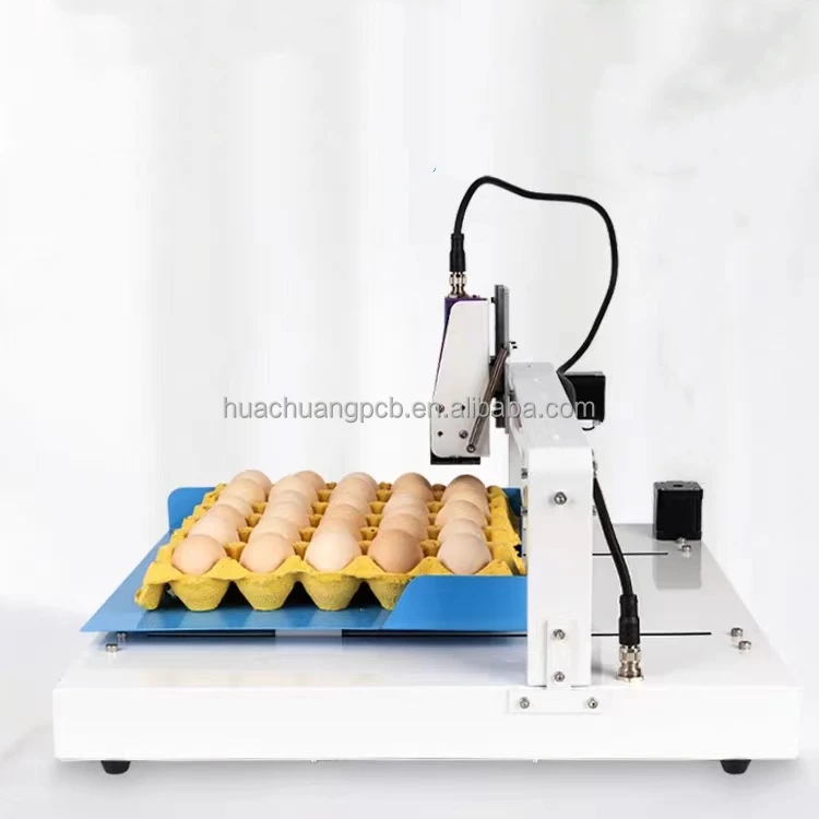 Huachuang New Fully Automatic Hen Egg Coding Machine And Poultry Egg Printing Date