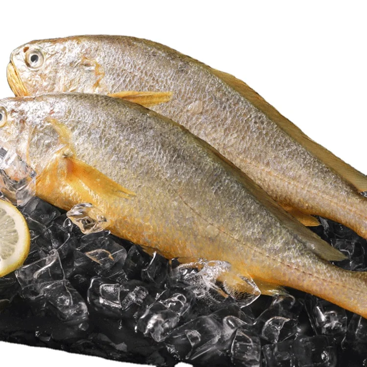Замороженные морепродукты замороженные жёлтые шейкеры, жёлтая Рыба Цена