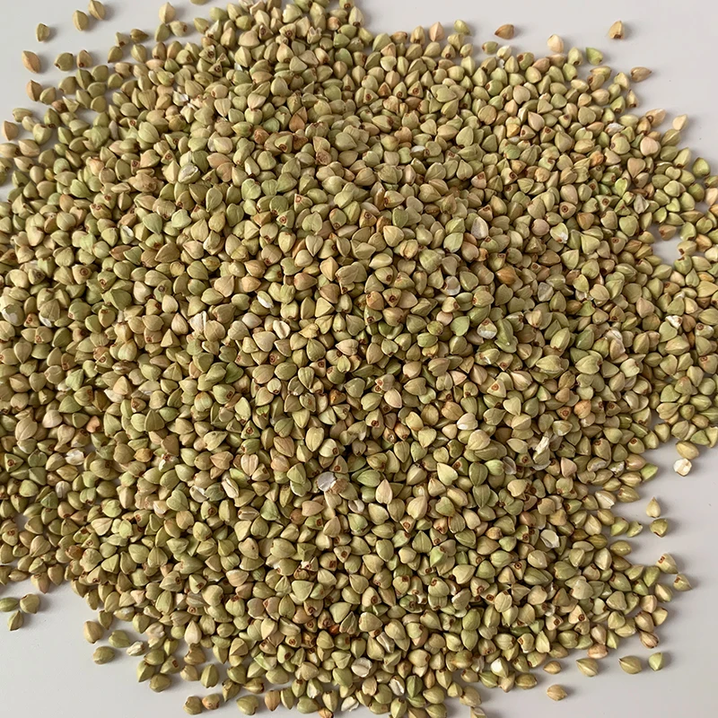 Wholesale High Quality Buckwheat