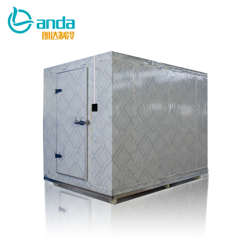 Blast Freezer Equipment Cold Store For Fruit And Vegetables Cool Storage Room Modular Cooler room