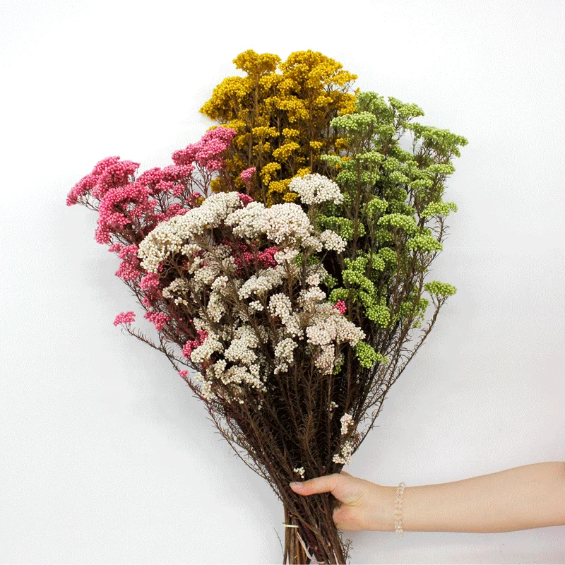 Wholesale  dried flower preserved Millet flower preserved rice flowers for bouquet arrangement home decor