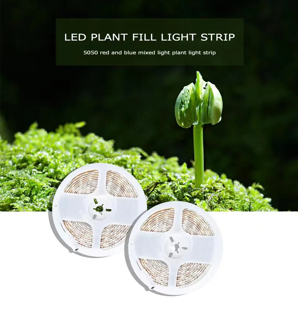 Factory Custom 5050 Ip20 65 Greenhouse Seedling Plant Indoor Lamp Hydroponic Dc 12V 24V Led Strip Grow Lights