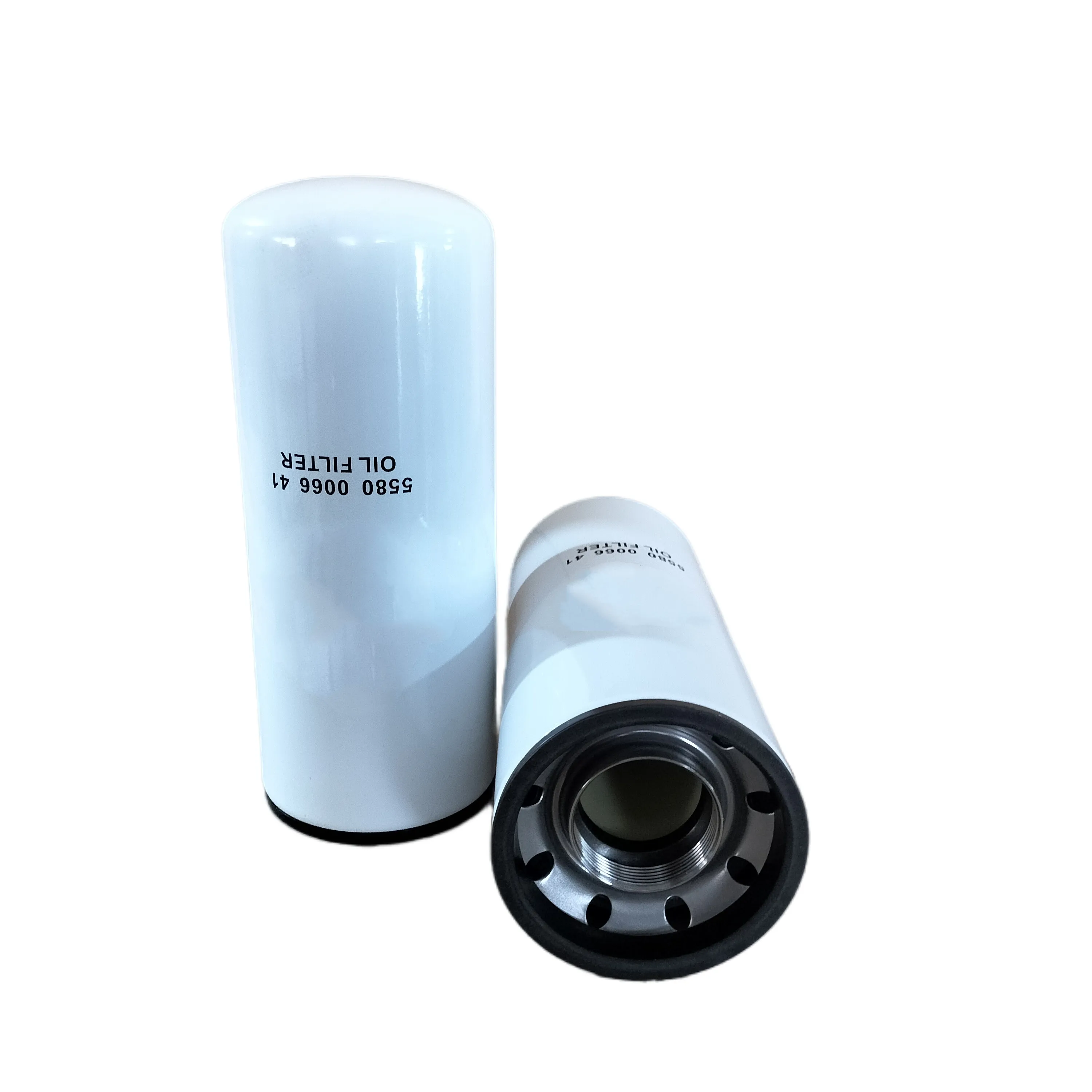 HZHLY Supply Hot Selling High Quality 5580006641 Oil Filter P553000 LF9009 SO10011 5580 0066 41