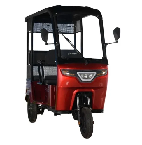Leisure Electric Tricycles with roof for elderly 60V 800W