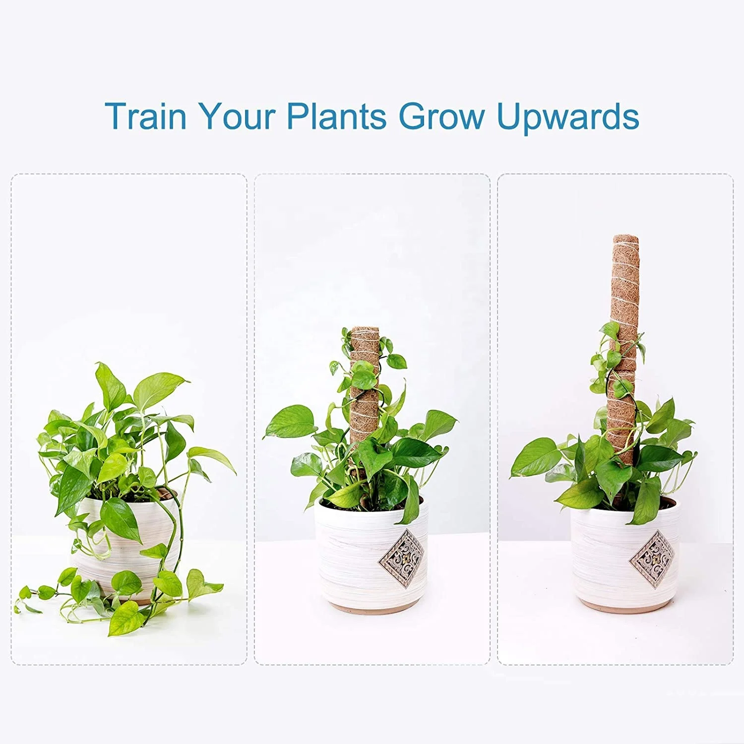 Coir Pole for Potted Plant 2 Pack  Plant Stake Support Gardening Tool Set and Garden Ties Coir Moss Stick for Plant Support