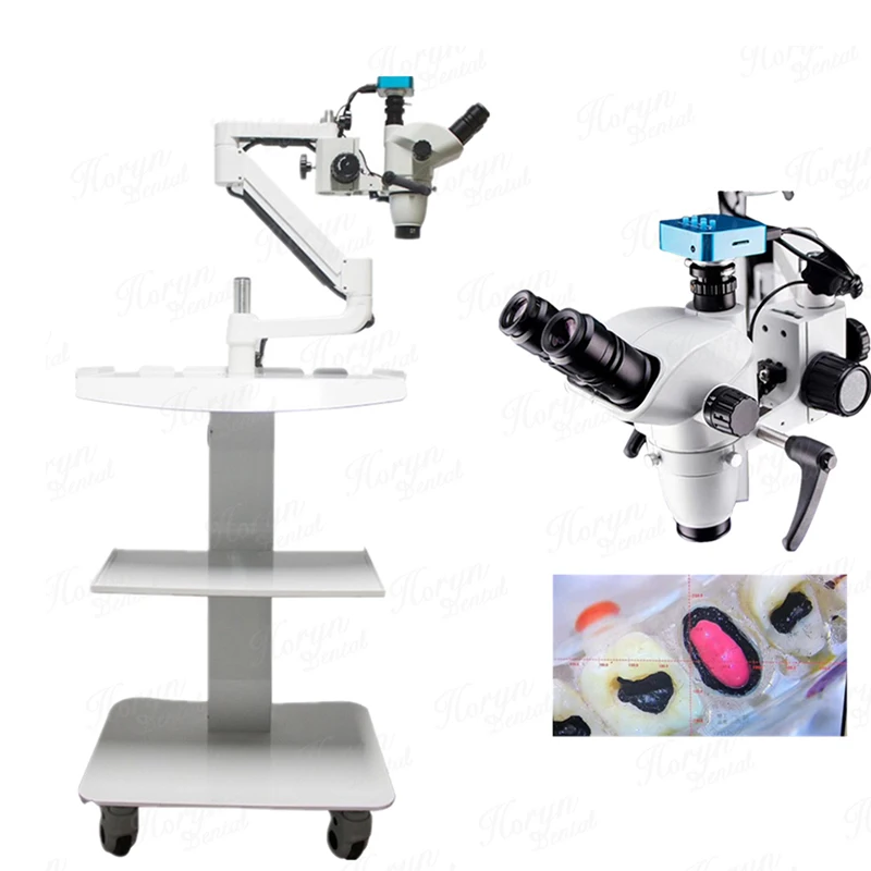 China Dental Adjustable LED  Binocular Microscope 360 Rotatable 10X Short Arm with Camera Dental Ophthalmic Microscope