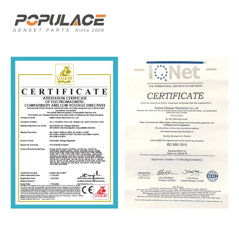 Populace High Quality Generator AVR GAVR-20A for Sale with 1Year Warranty