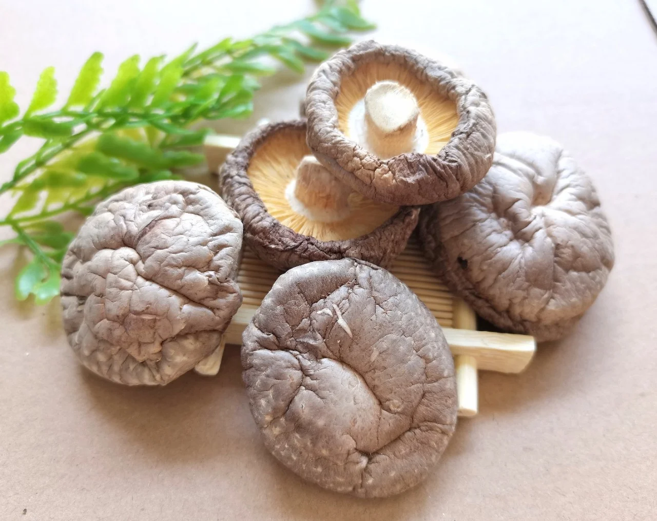 Крупные партии съедобные магические грибы сушеные