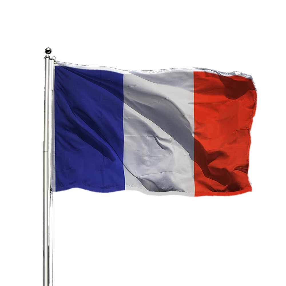 Hot selling wholesale custom design different size France flags bright color French flags 100% polyester printing country flags