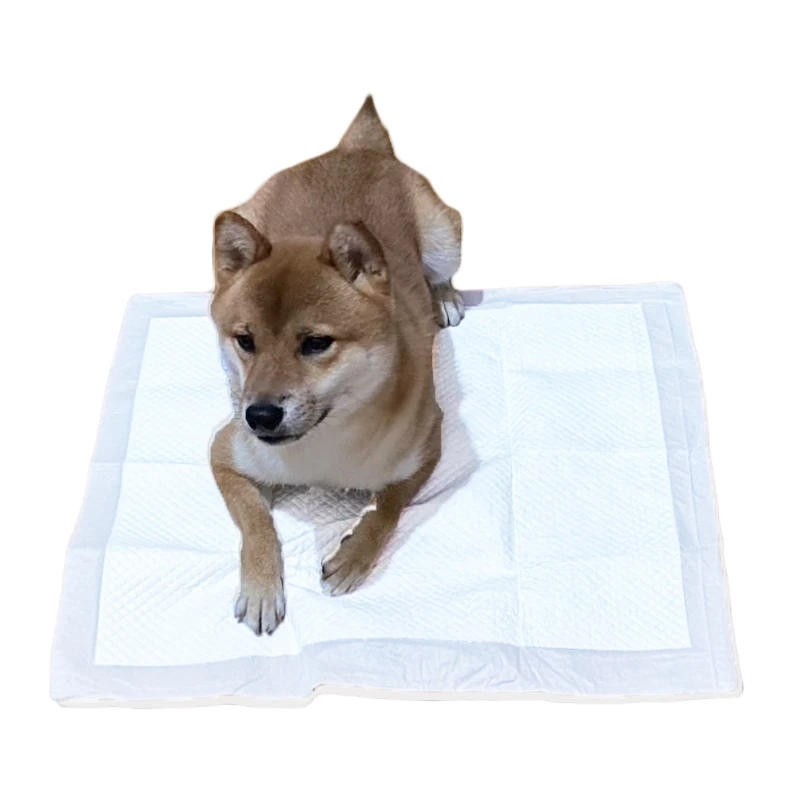 Customize Disposable Dog Pee Pads Puppy Training Pads