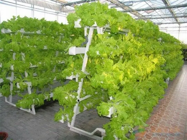 
Vertical Hydroponic Plastic Mesh Net Basket Vegetables Growing Systems 