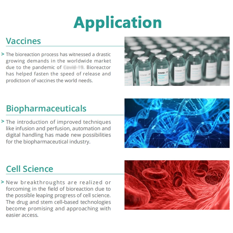 Cheap laboratory Lab Scale Small Glass 100ml 3l 5l 10l Benchtop Mini Continuous Plant Photo Cells Fermentor Bioreactor