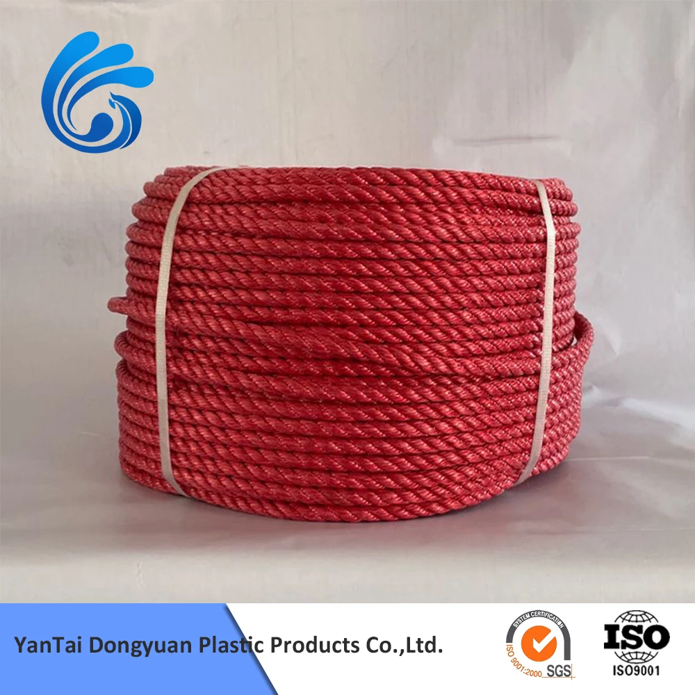 10mm High Strength Ships Sailing Boats 3/4 Strands pp Packaging Polyester Rope with Low Price