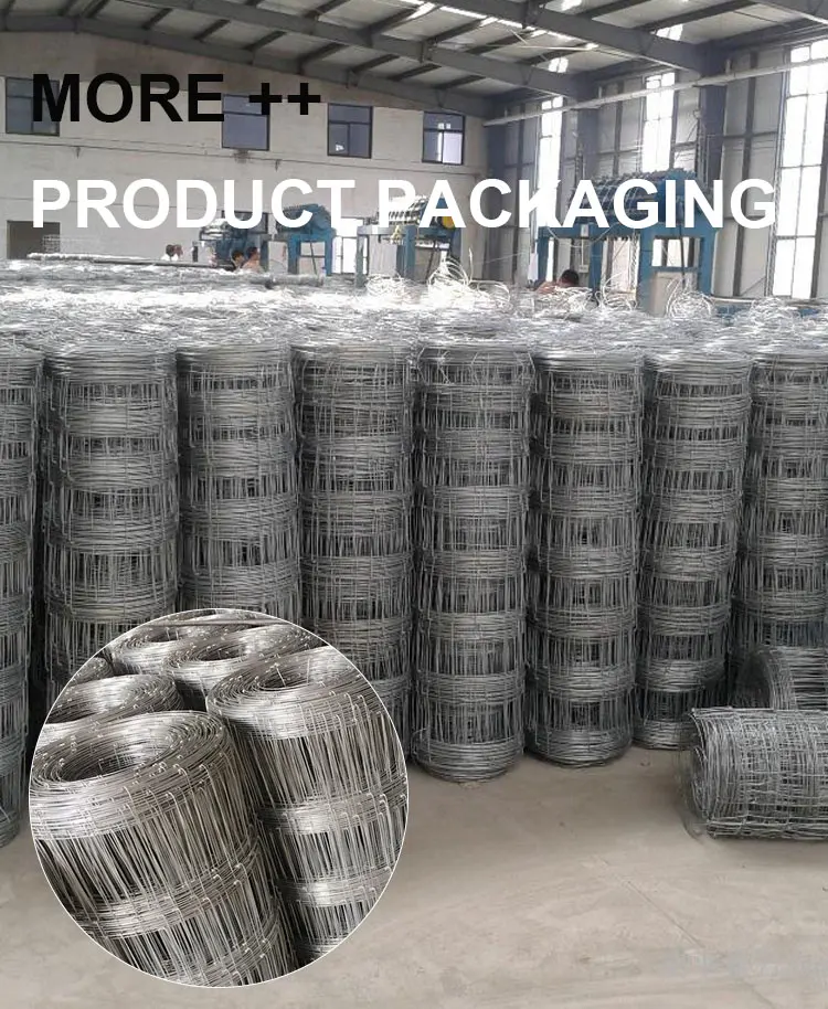 wire mesh for grassland_08