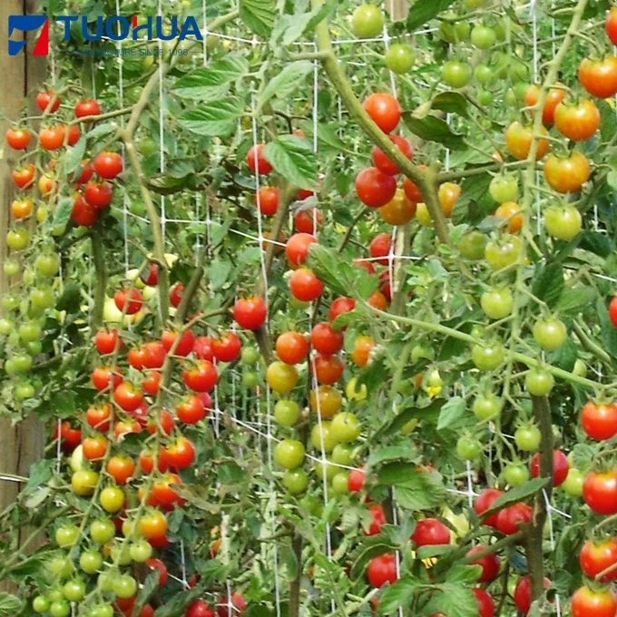 Garden Nylon Polyester Mesh Anti Climb Planting Extra Heavy Duty Trellis Netting